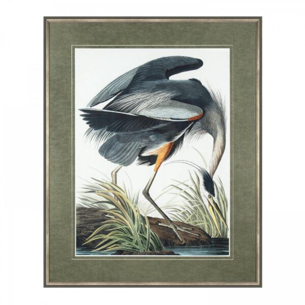 Heron Framed Print