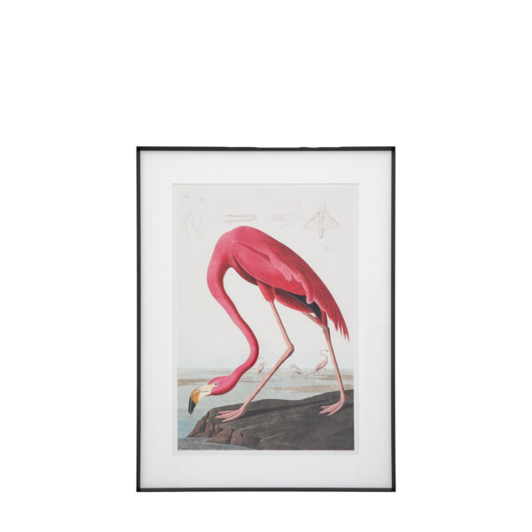 Wading Bird Framed Art